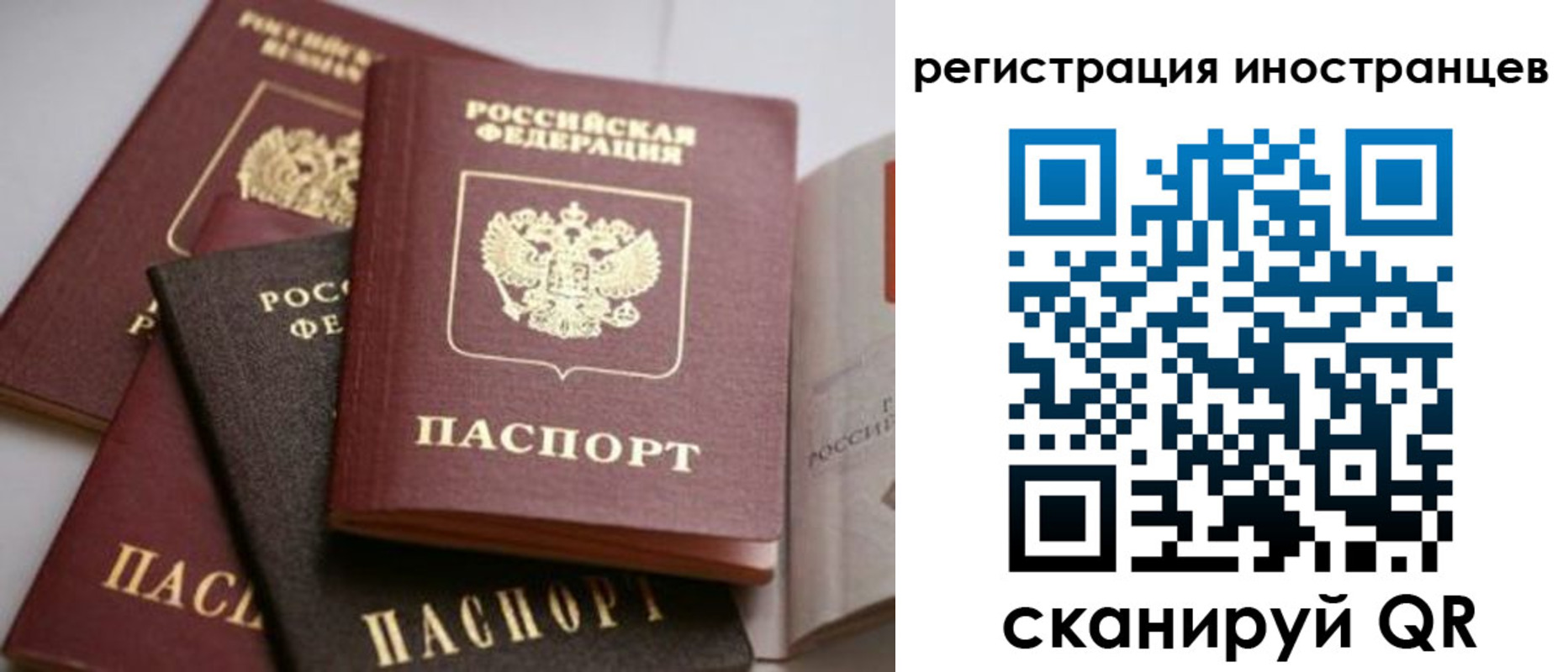 форма 3 в Мончегорске
